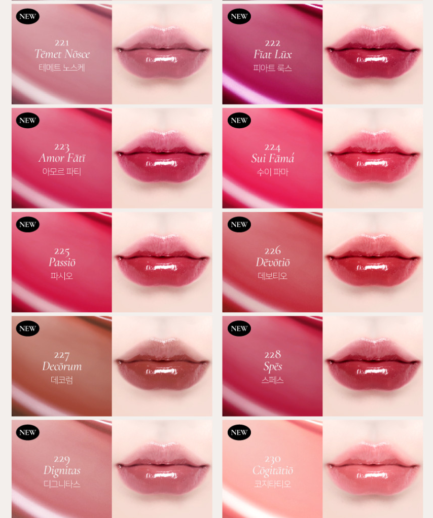預訂品 | Dinto 💖 Blur-glowy Lip Tint 水光鏡面唇釉 (經典色)