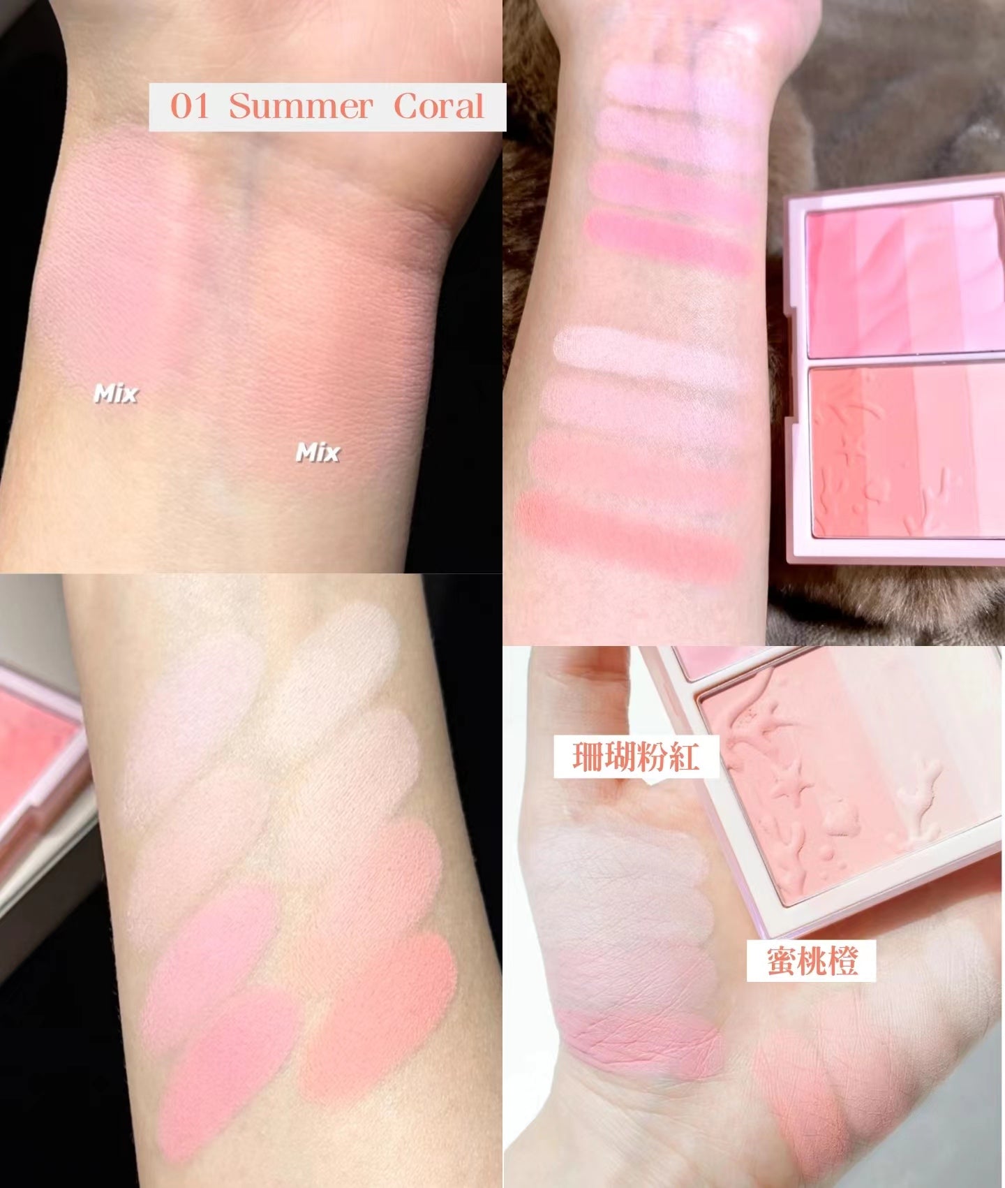 本月優惠! 現貨 l DASIQUE 漸層胭脂套裝 01 Summer Coral Olive Young 限定套裝