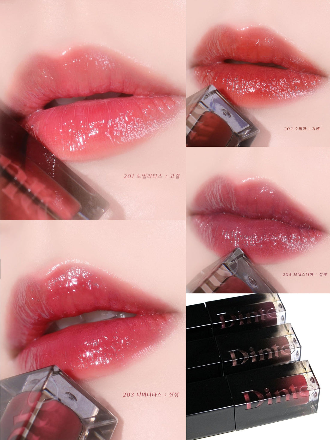 預訂品 | Dinto 💖 Blur-glowy Lip Tint 水光鏡面唇釉 (經典色)