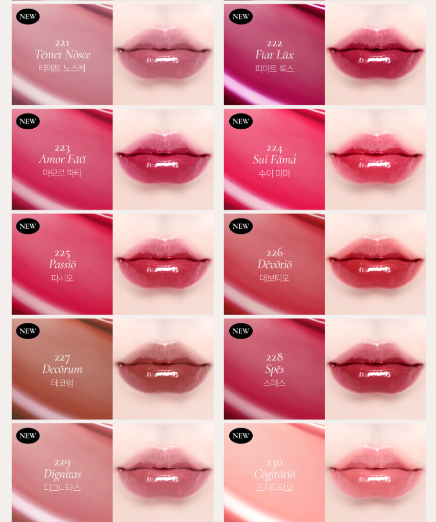 預訂品 | Dinto 💖 Blur-glowy Lip Tint 水光鏡面唇釉 （經典色）